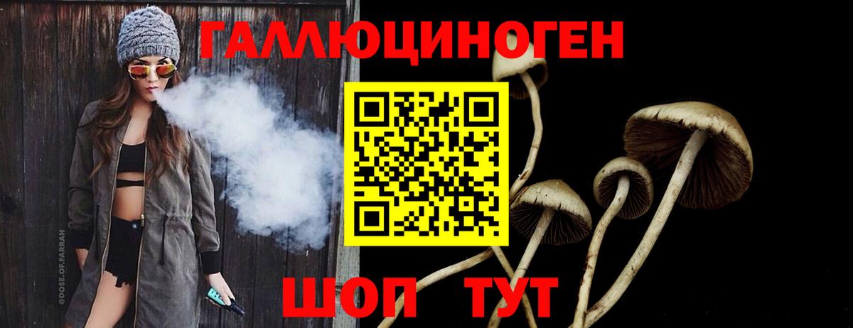 Псилоцибиновые грибы ЛСД  Галлюциногенные грибы ЛСД  Шарыпово  даркнет сайт  Вход с VPN 